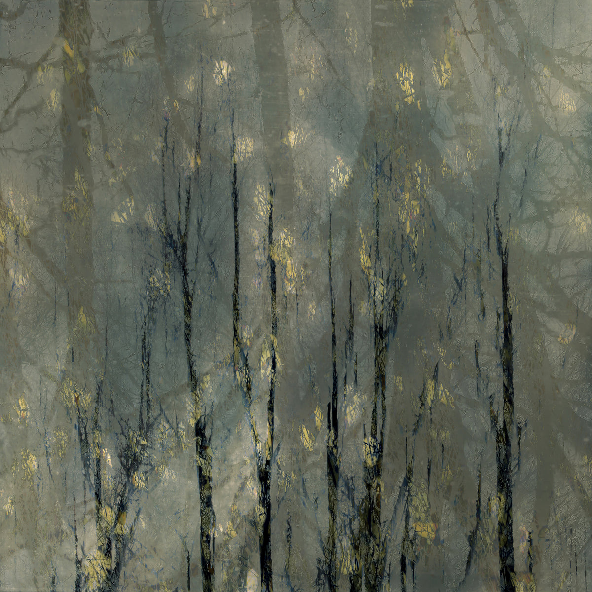 canvas-print-bald-trees