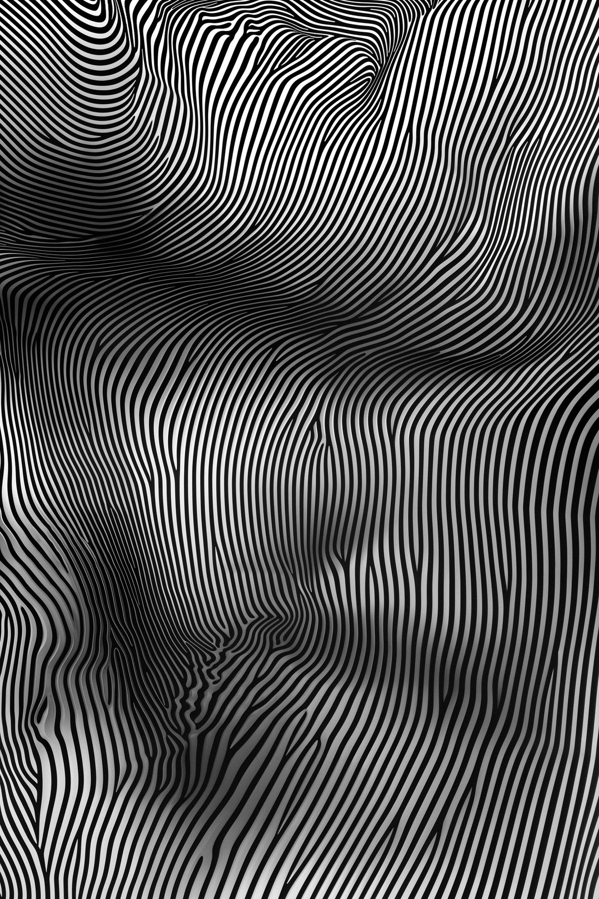 canvas-print-zebra-curves