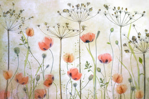poster-print-poppy-meadow-x