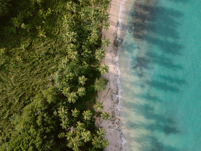 poster-print-green-beach-from-above-2