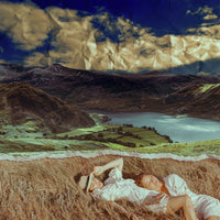 aluminium-print-friends-in-a-field