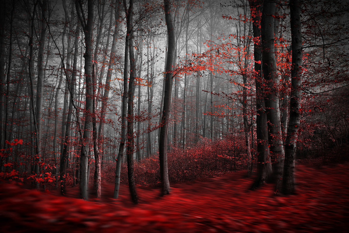 acrylic-print-bloody-river-x