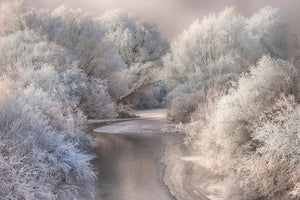 framedcanvas-print-winter-song-x