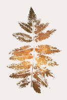 acrylic-print-oak-leaf-print-gold-2