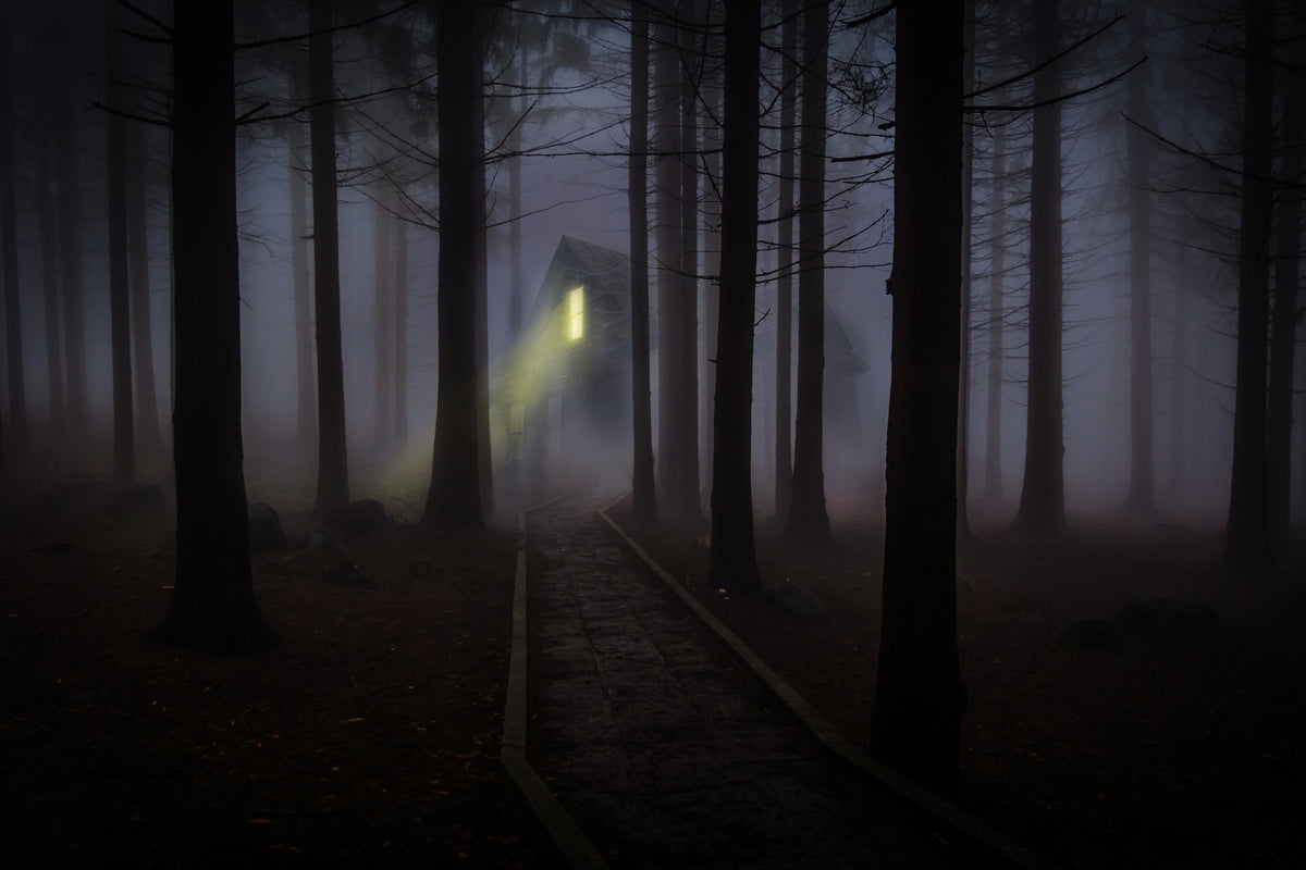 canvas-print-fog-in-the-forest