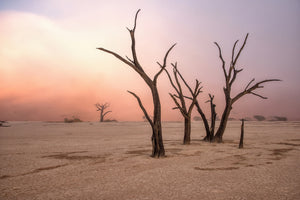 aluminium-print-fog-in-deadvlei