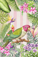 aluminium-print-parakeet-flower-garden