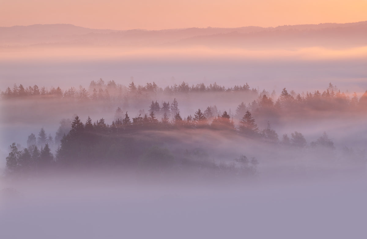 modern-3-piece-acrylic-print-the-fog-slowly-dissipates