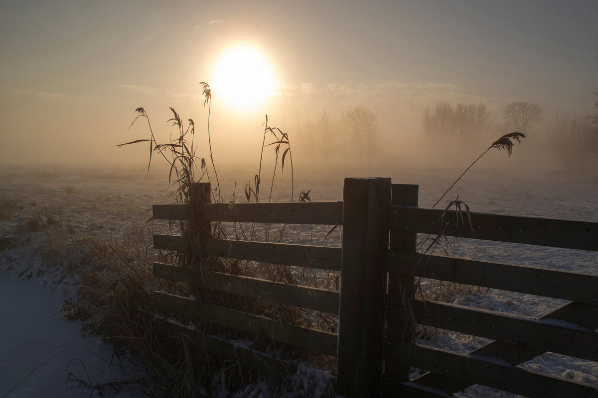 3-piece-canvas-print-winter-mood