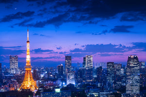 framedposter-print-tokyo-night-view