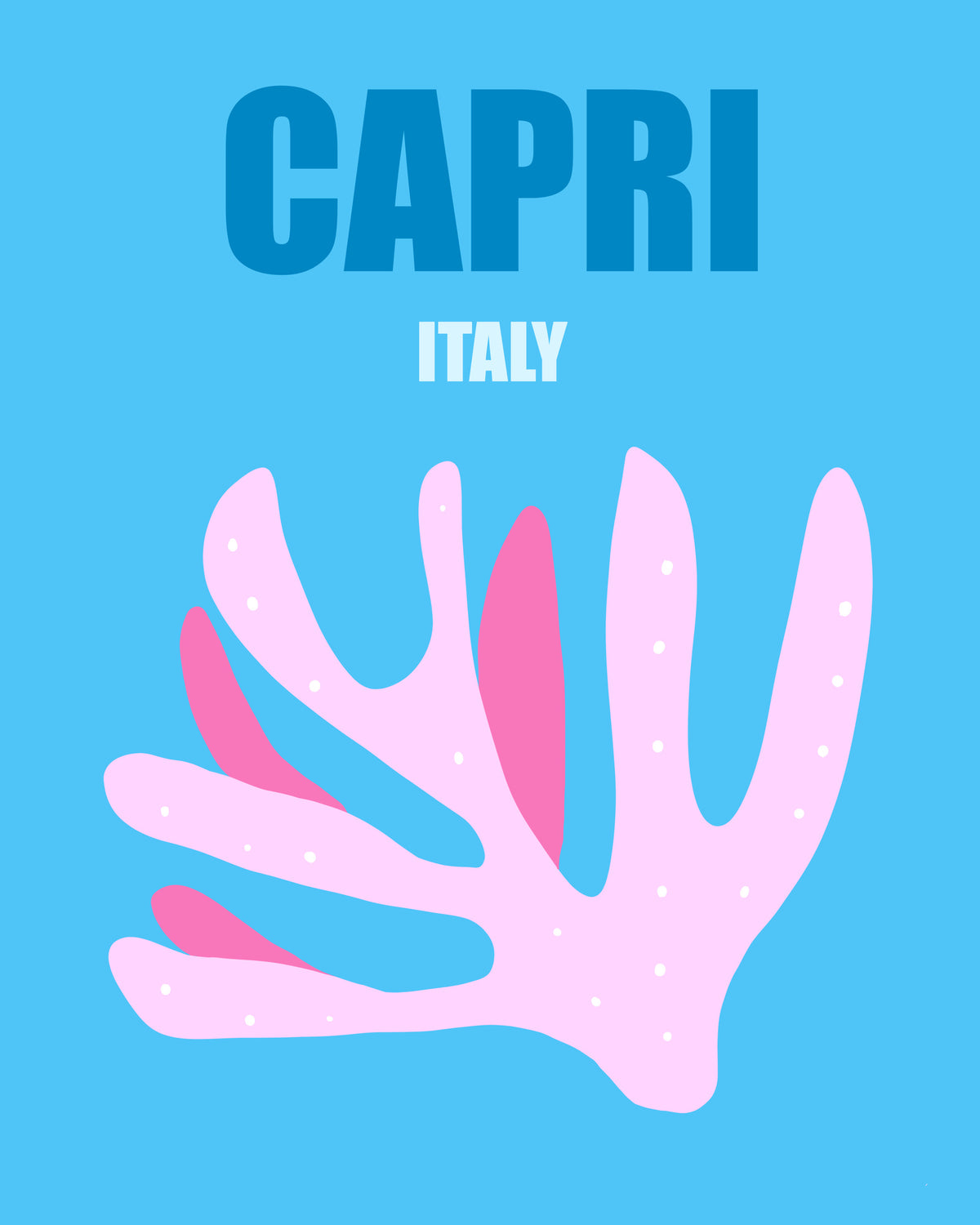 acrylic-print-capri-2