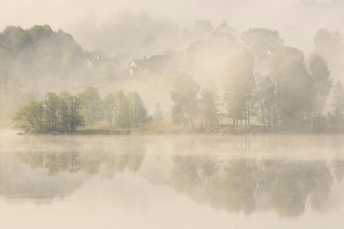 aluminium-print-early-morning-x