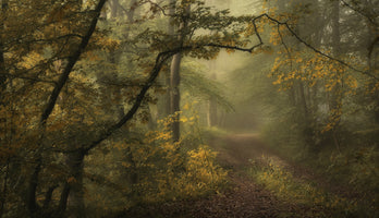 canvas-print-a-sorrow-beyond-dreams-color