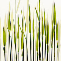 9-piece-aluminium-print-a-new-beginning