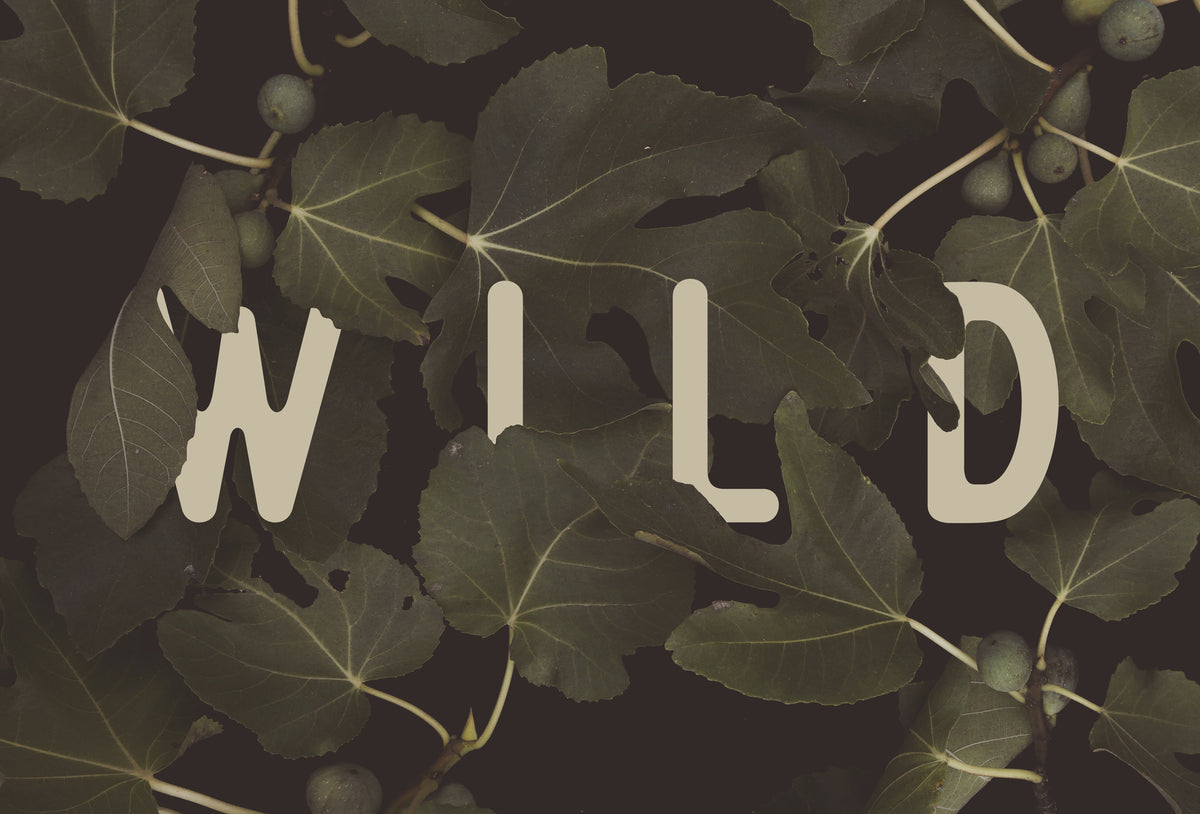 canvas-print-wild-n2