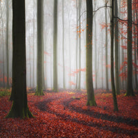 poster-print-autumnal-tracks-2