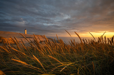 poster-print-lighthouse-beyond-the-dunes