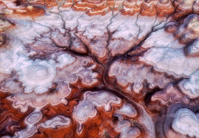 3-piece-aluminium-print-a-tree-in-the-desert