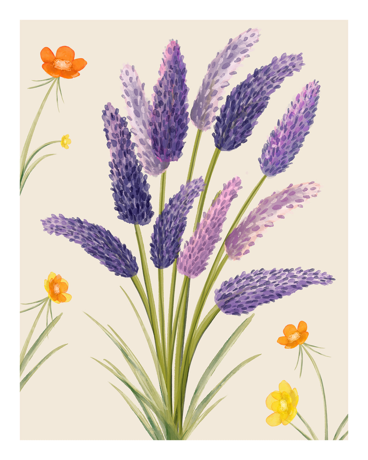 framedposter-print-lavender-dreams
