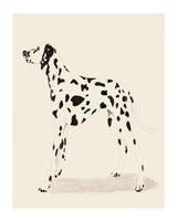 canvas-print-pandc-dalmation