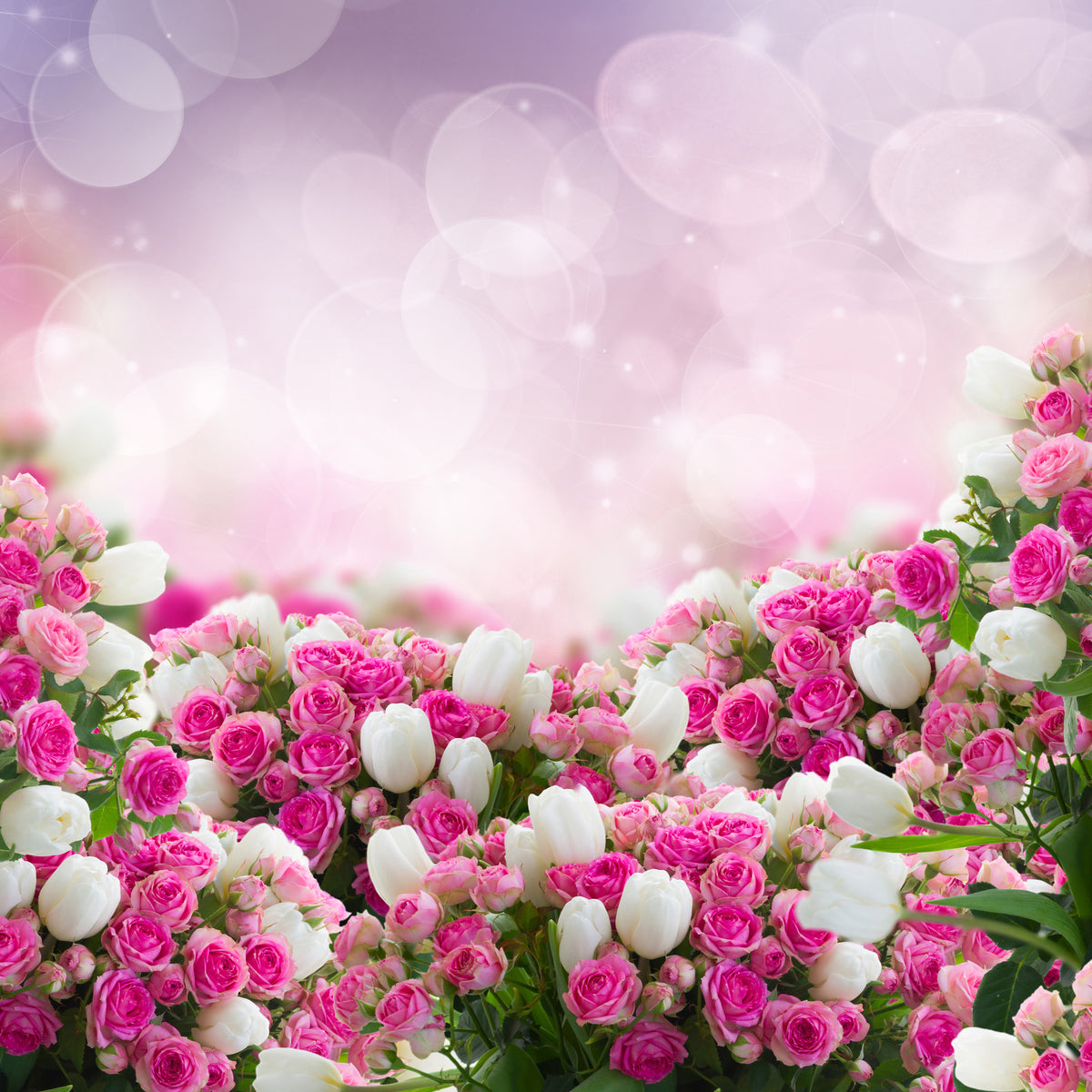 9-piece-acrylic-print-fable-roses