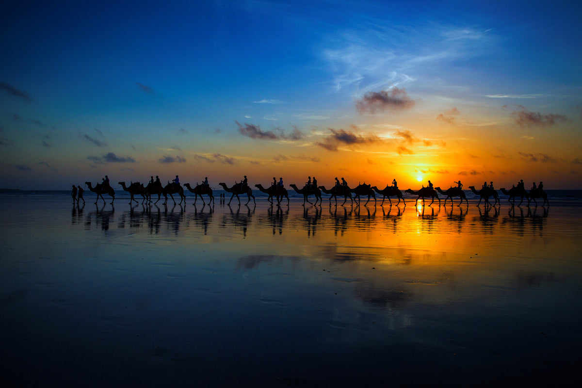 acrylic-print-sunset-camel-ride