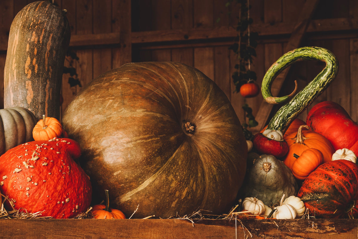 3-piece-acrylic-print-a-still-life