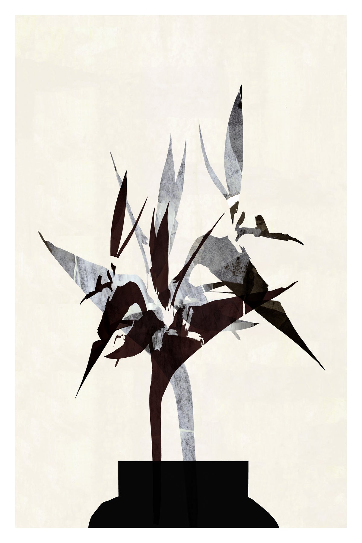 acrylic-print-desert-dreamer