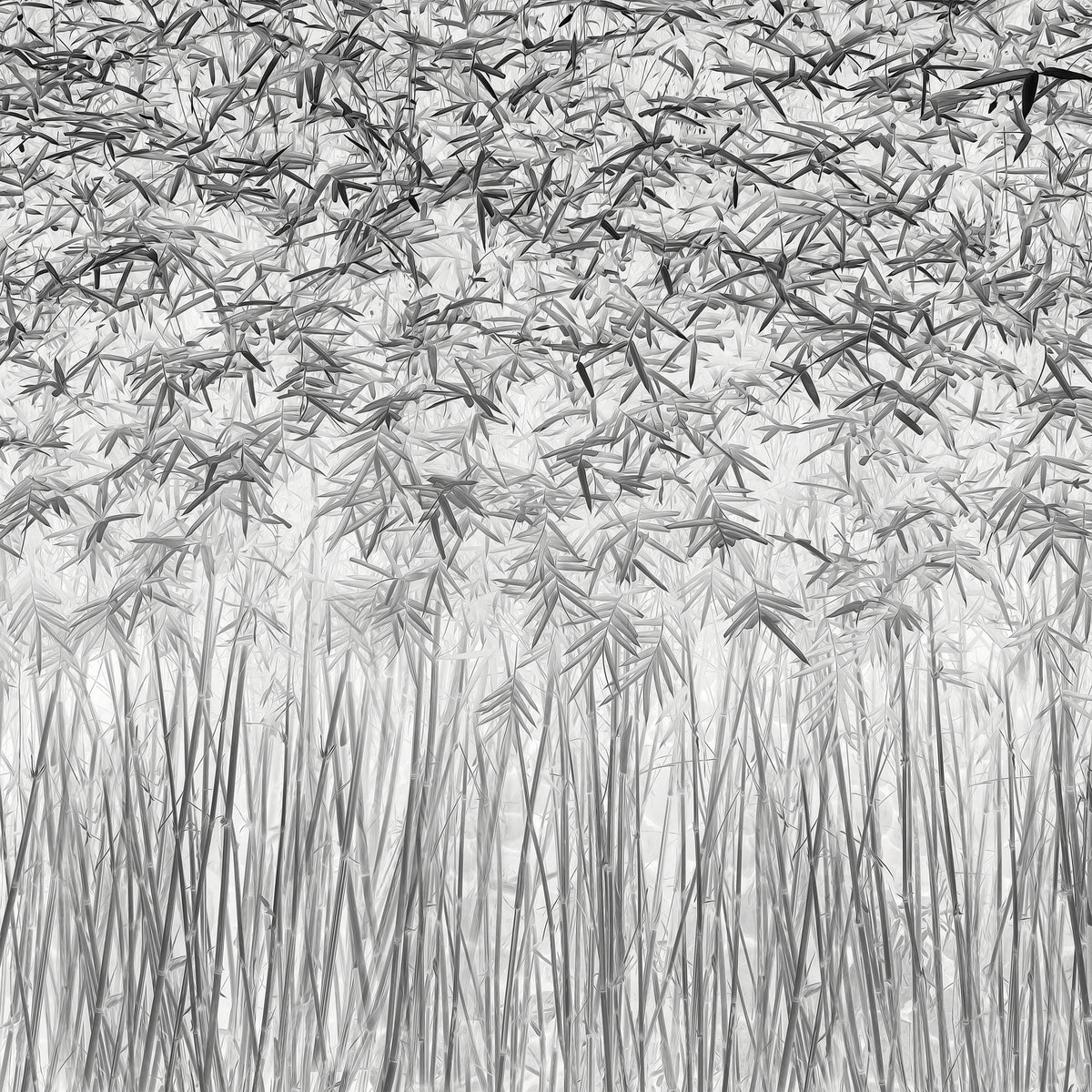 4-piece-canvas-print-parallelism-2