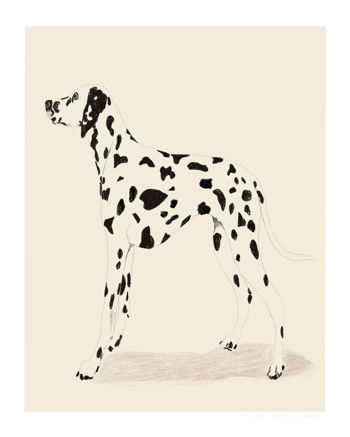 aluminium-print-pandc-dalmation