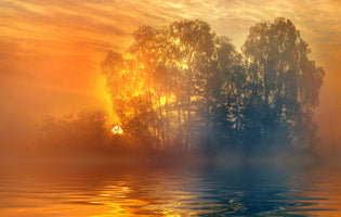 3-piece-canvas-print-behind-the-trees