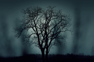 3-piece-aluminium-print-the-tree-in-darkness