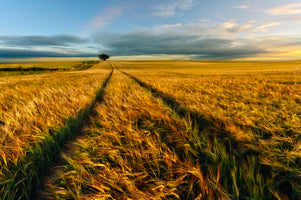 aluminium-print-countryside