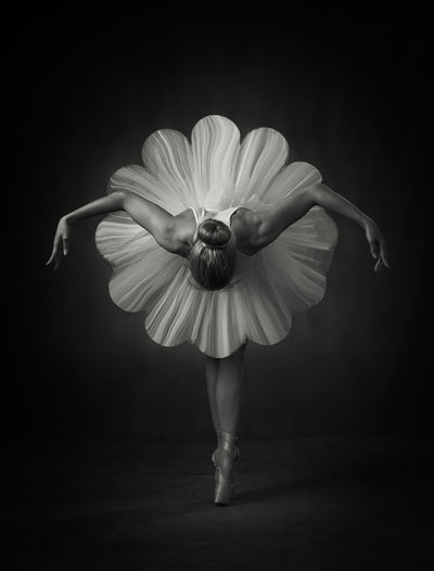 poster-print-floral-ballet