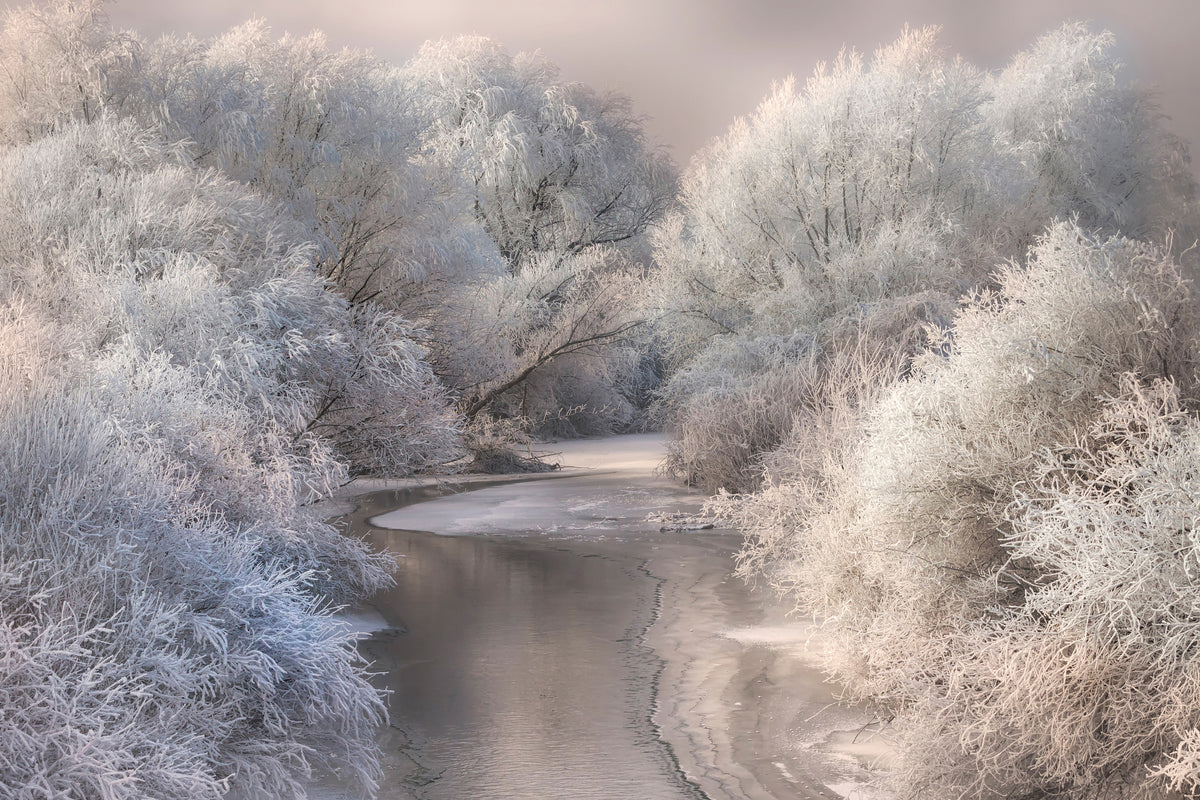 framedposter-print-winter-song-x