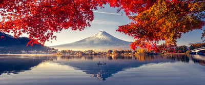 panoramic-poster-print-autumn-at-fuji-with-morning-fog