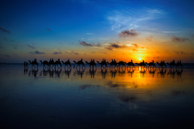 poster-print-sunset-camel-ride