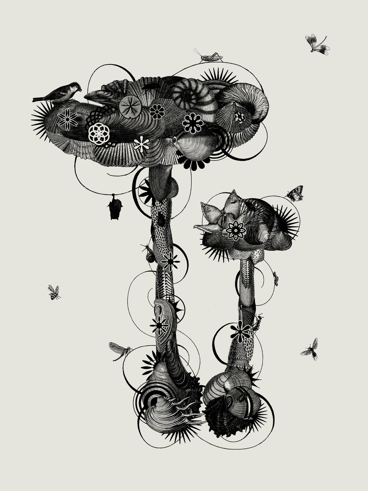 canvas-print-amanita-mascara