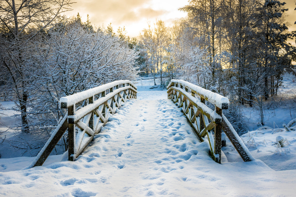 poster-print-cold-beauty-in-poland