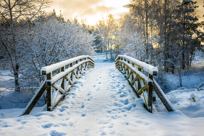 poster-print-cold-beauty-in-poland