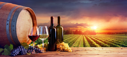 poster-print-wine-tasting-among-the-vines