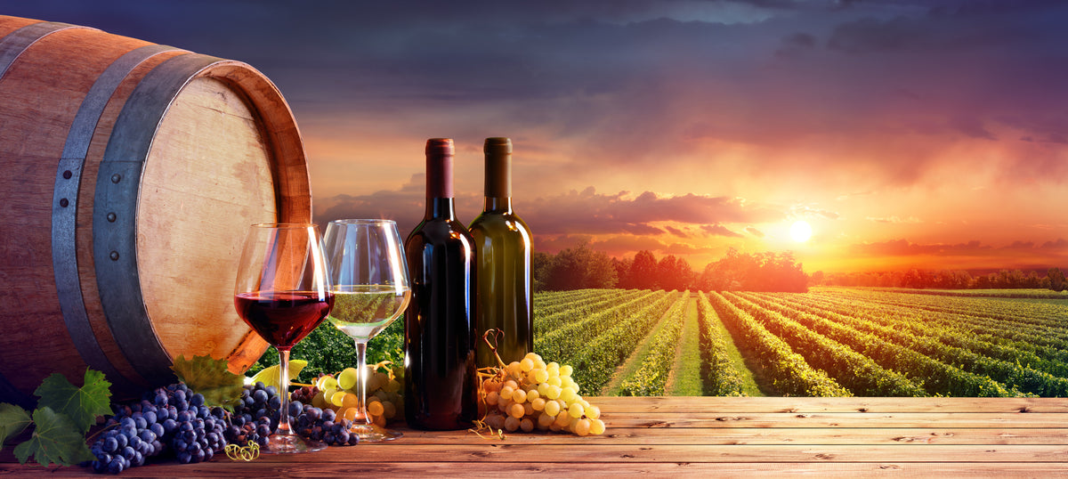 poster-print-wine-tasting-among-the-vines