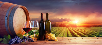 poster-print-wine-tasting-among-the-vines