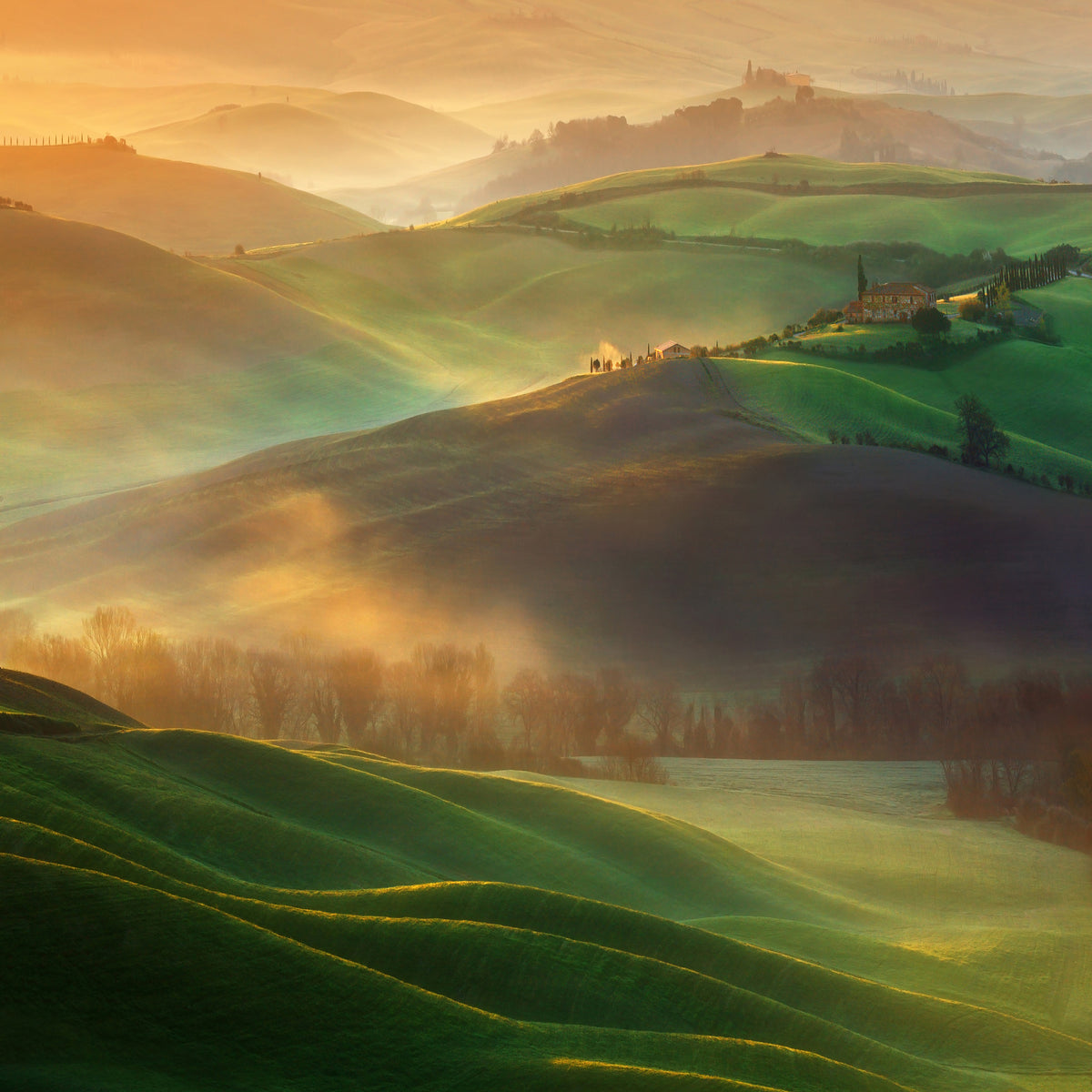 aluminium-print-morning-dreams