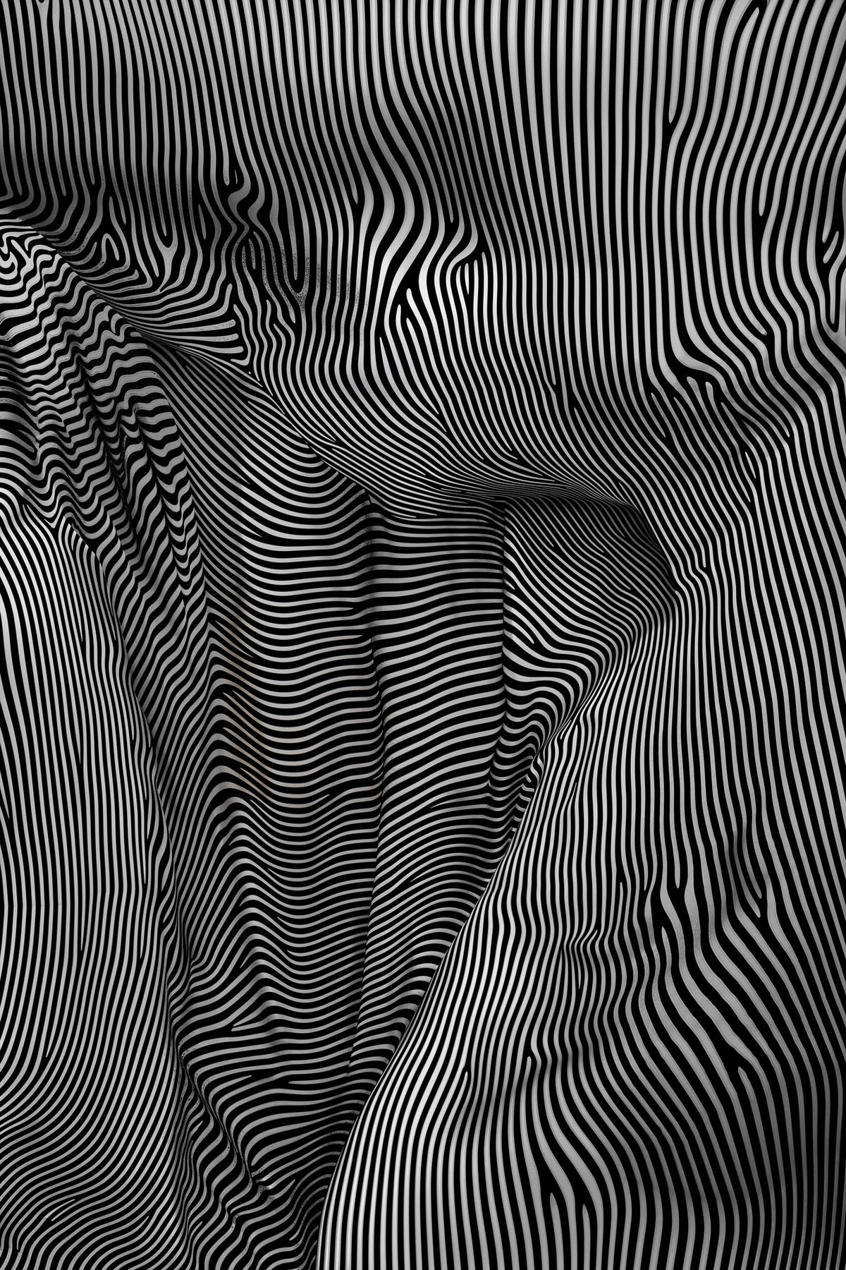 framedposter-print-zebra-structural-flow