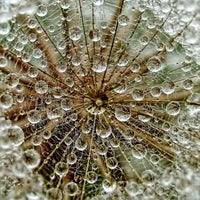 9-piece-aluminium-print-dred