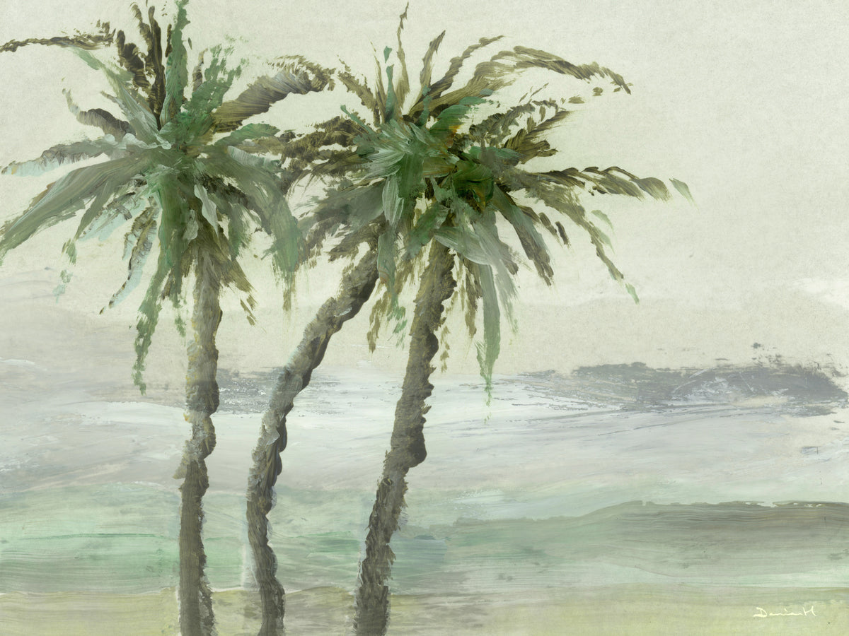 acrylic-print-windy-palms
