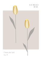acrylic-print-tulips-studio-bac