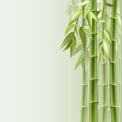 poster-print-green-bamboo