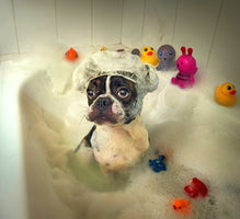 4-piece-canvas-print-the-bath